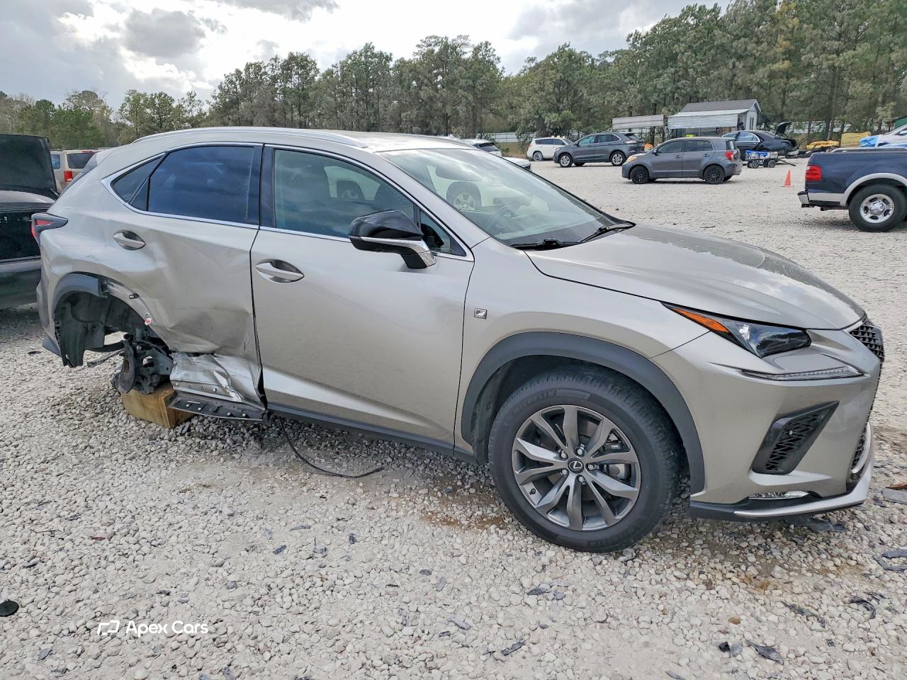 Lexus NX 2020