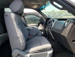 Ford F-150 2013