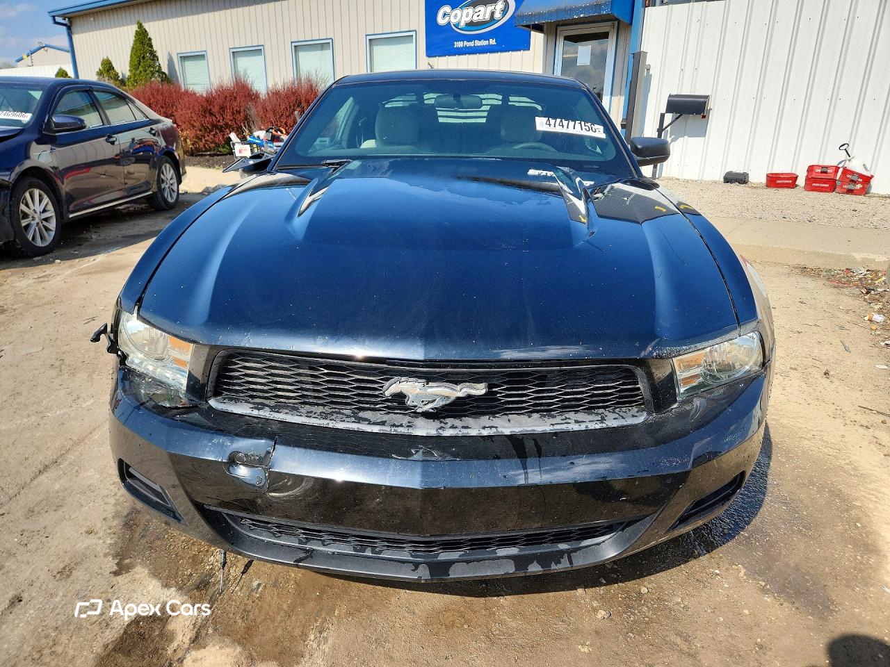 Ford Mustang 2012