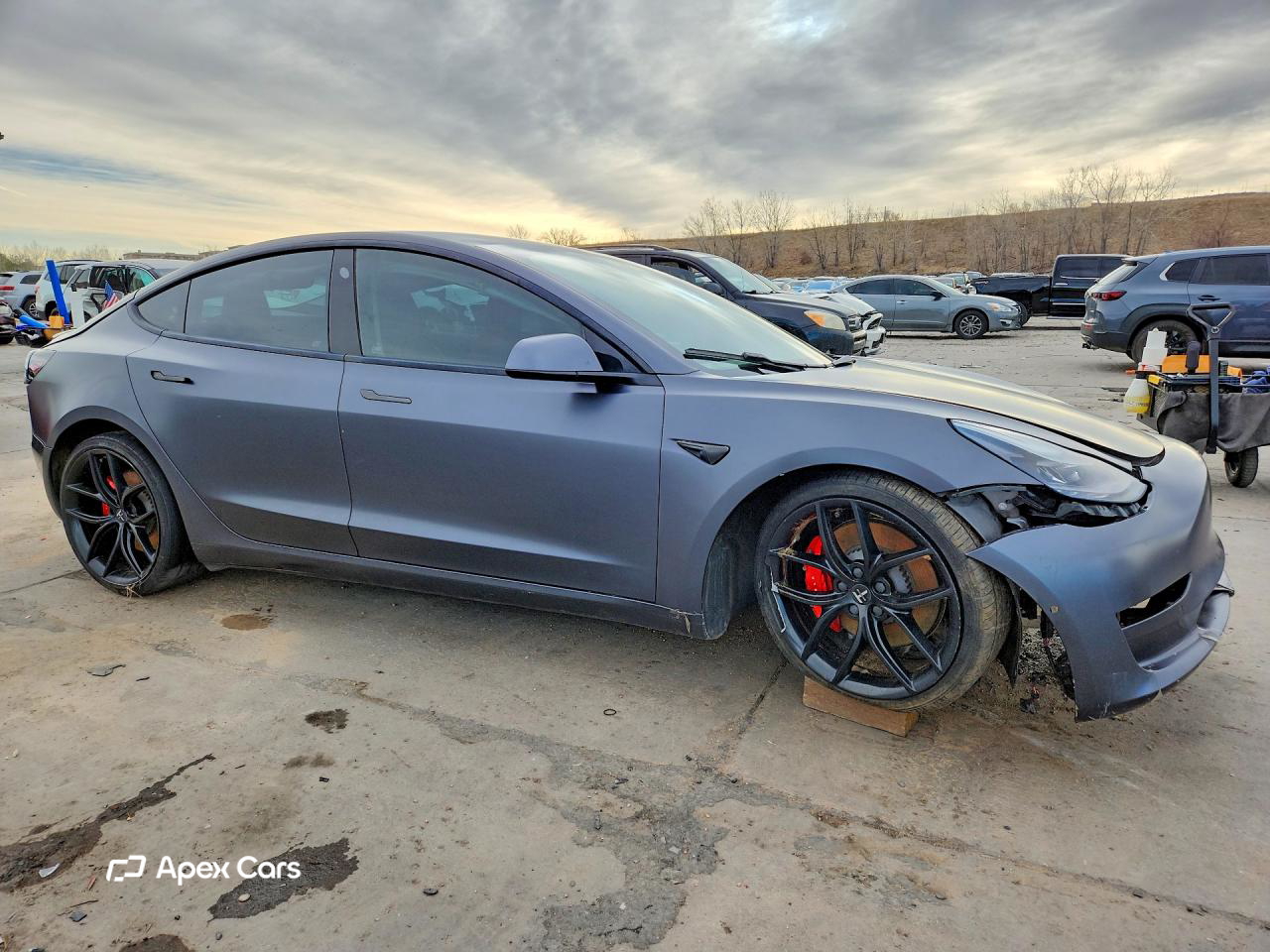Tesla Model 3 2021