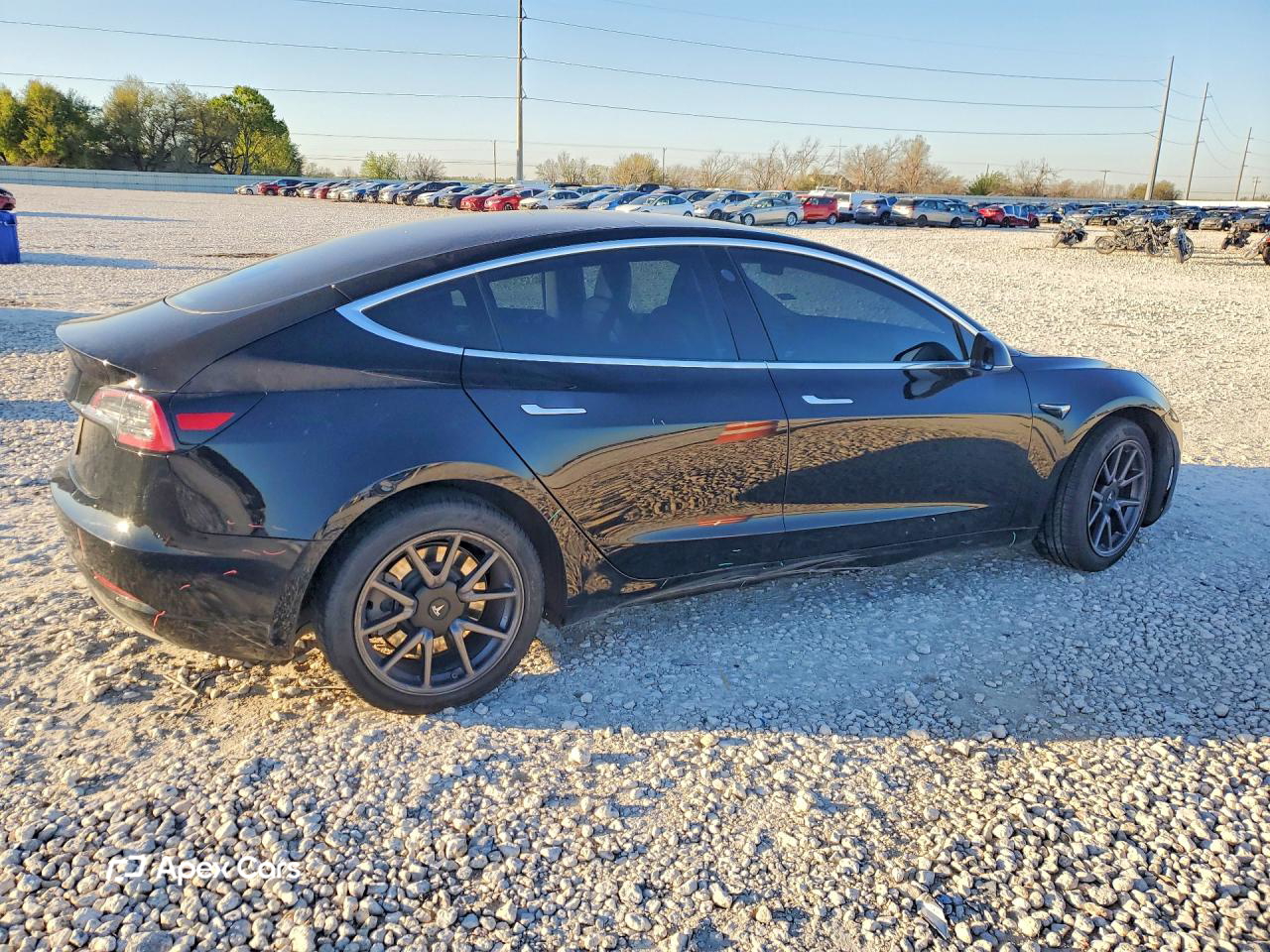 Tesla Model 3 2019
