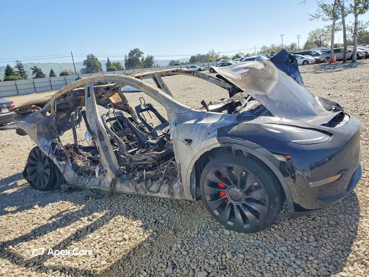 Tesla Model Y 2024
