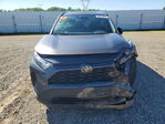 Toyota RAV 4 2024