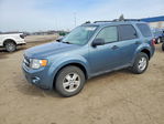 Ford Escape 2010