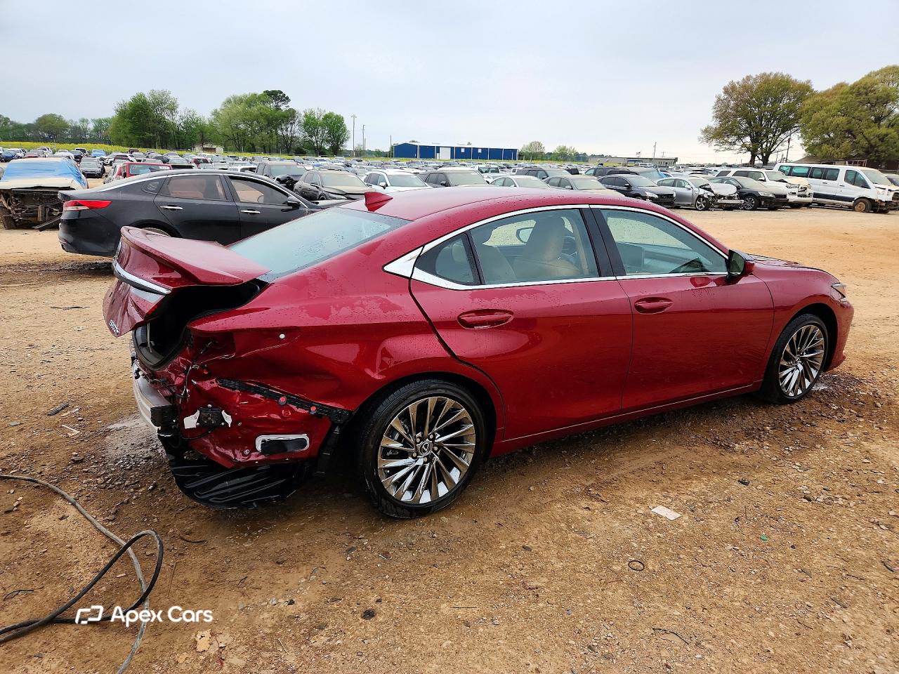 Lexus ES 2024