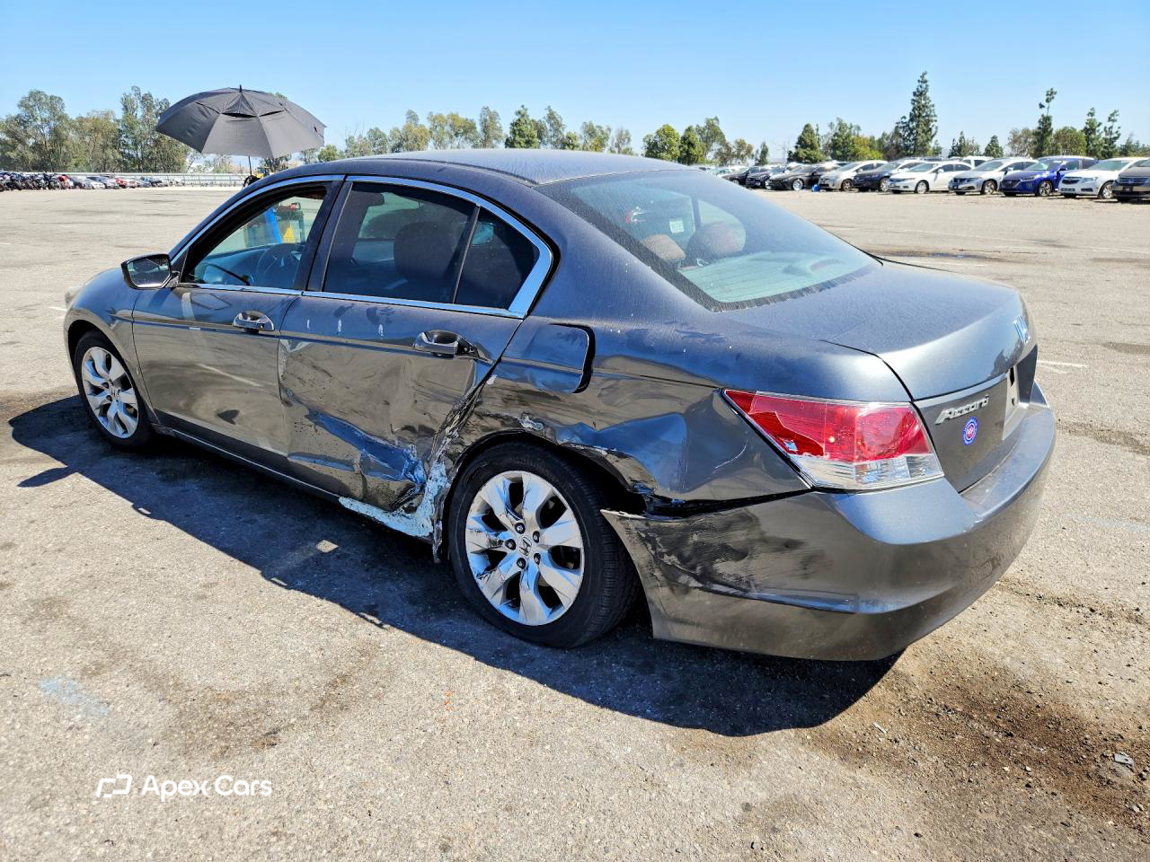Honda Accord 2010