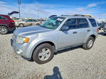 Ford Escape 2009