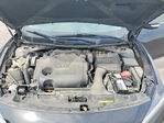 Nissan Maxima 2019