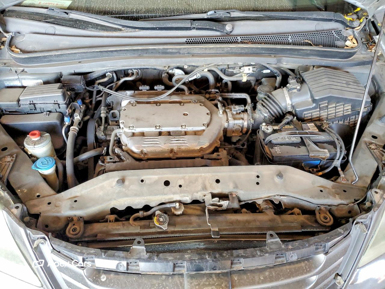 Honda Odyssey 2008