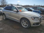 Audi Q5 2017