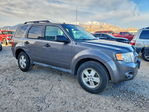 Ford Escape 2012