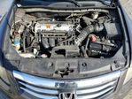 Honda Accord 2011