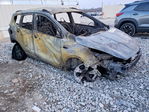 Ford Escape 2014
