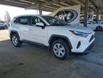 Toyota RAV 4 2024