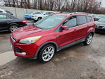 Ford Escape 2013