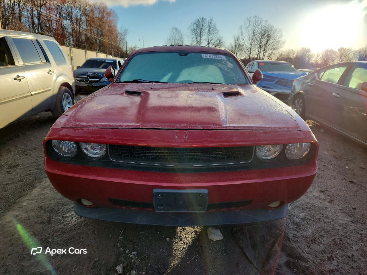 Dodge Challenger 2010