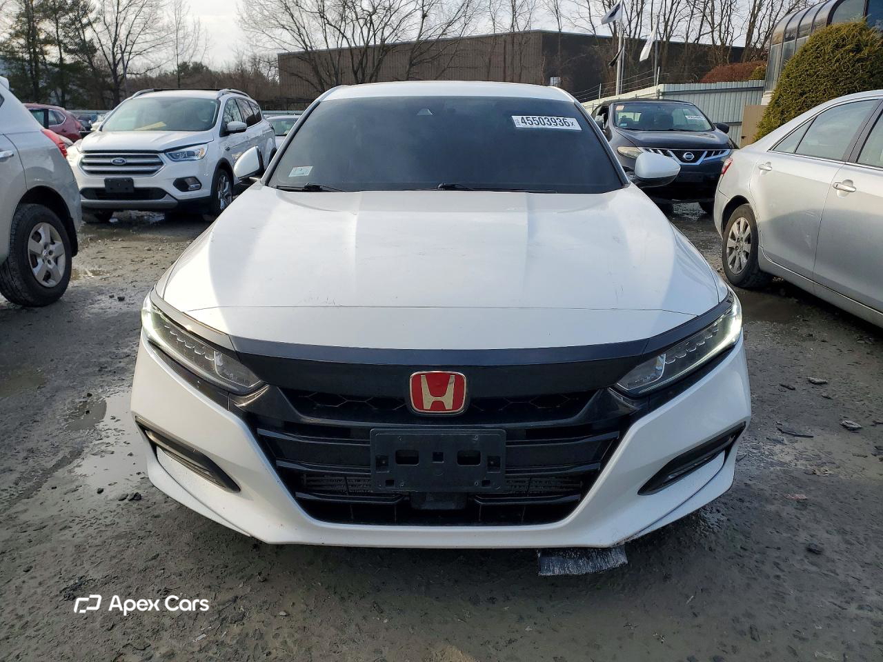 Honda Accord 2019