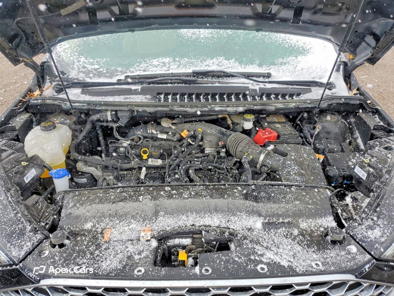 Ford Edge 2024