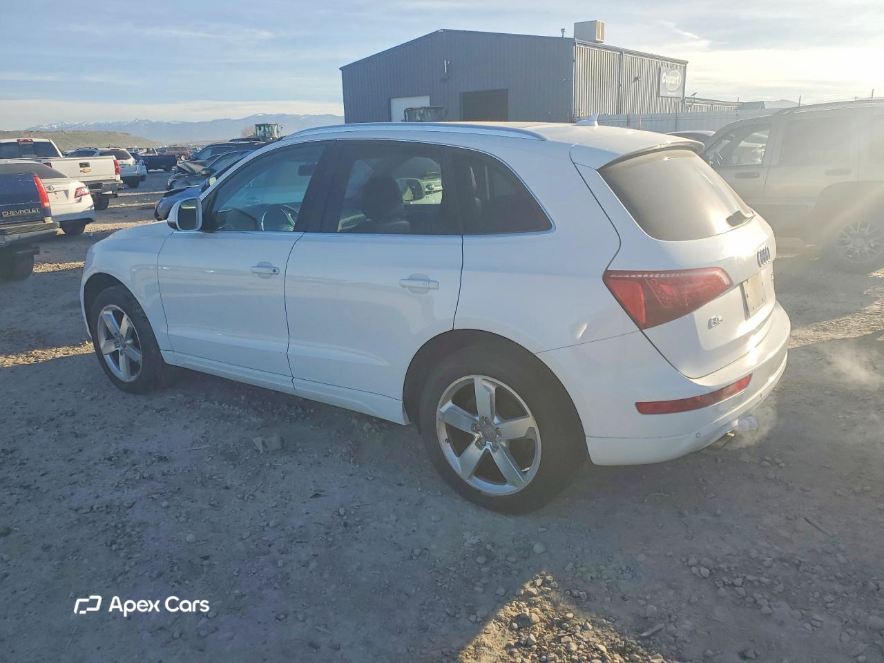 Audi Q5 2009