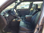 Ford Escape 2011
