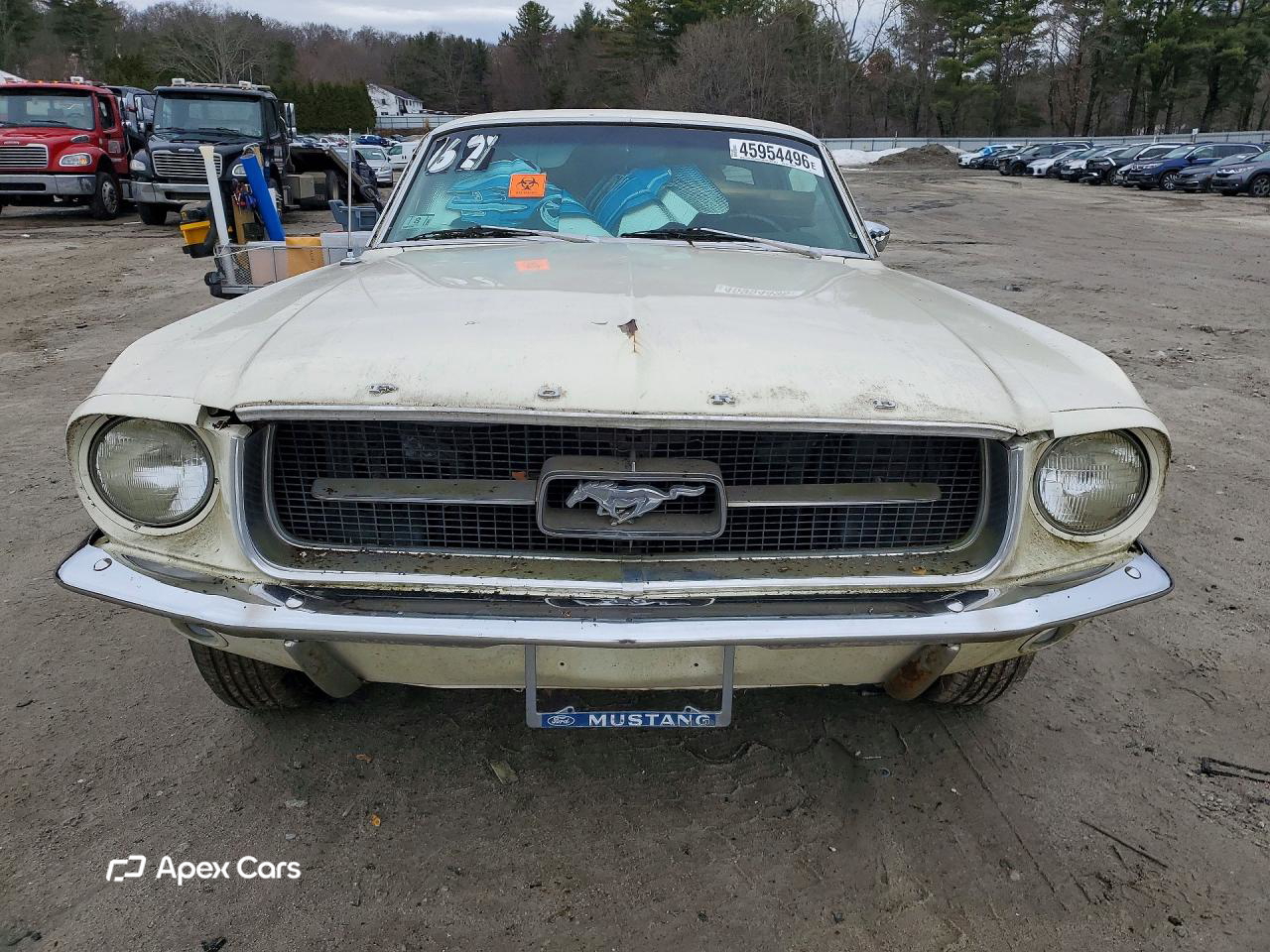 Ford Mustang 1967