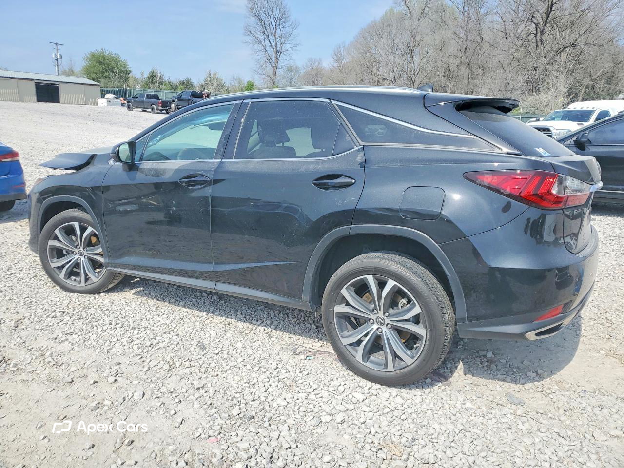 Lexus RX 2022