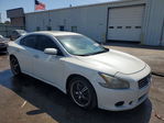 Nissan Maxima 2010