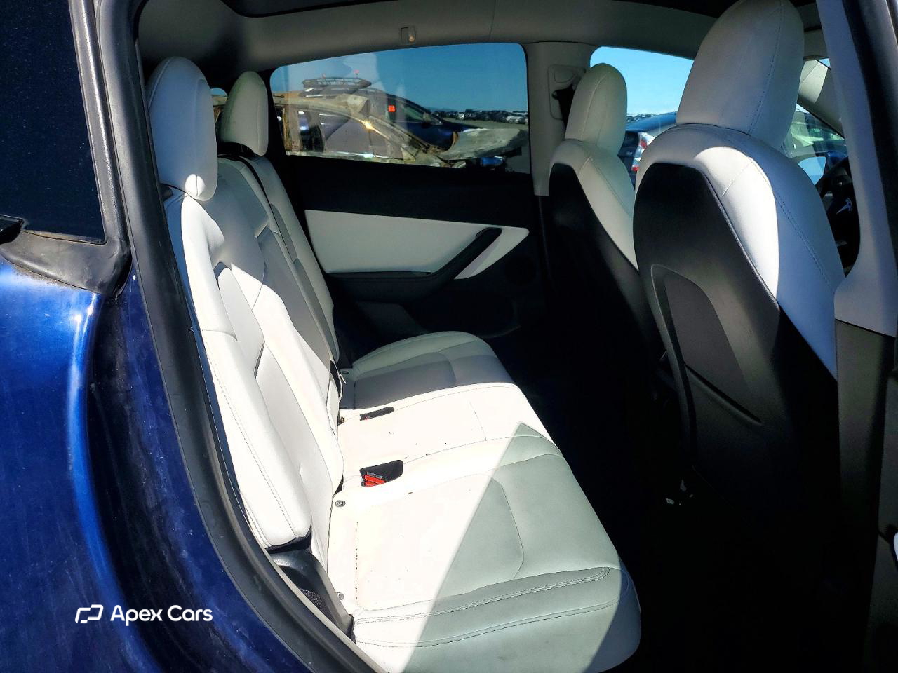 Tesla Model Y 2020