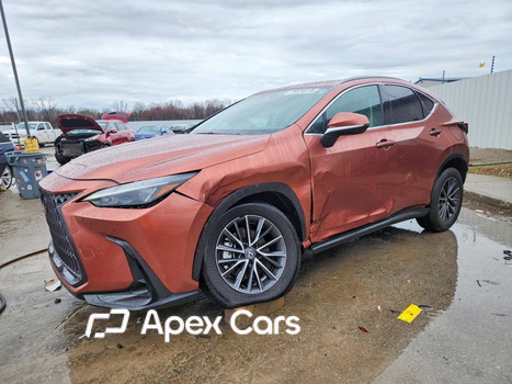 Lexus NX 2025 - Image 1 of 14