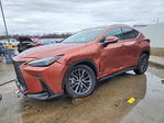 Lexus NX 2025