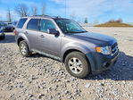 Ford Escape 2010