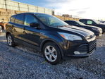 Ford Escape 2016