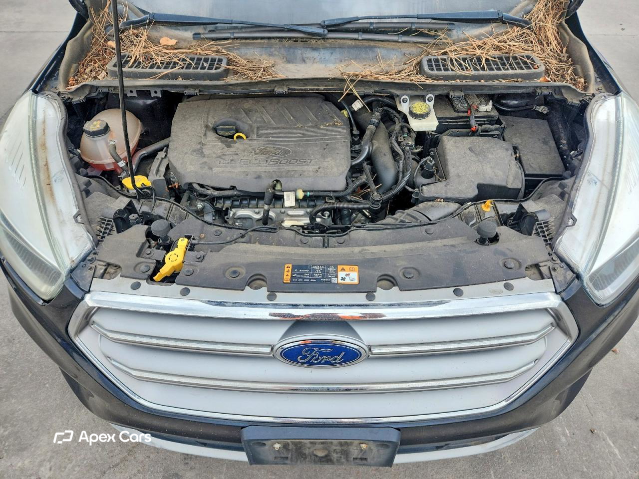 Ford Escape 2017