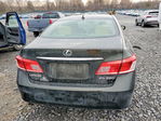 Lexus ES 2010