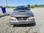 Ford Mustang 2001