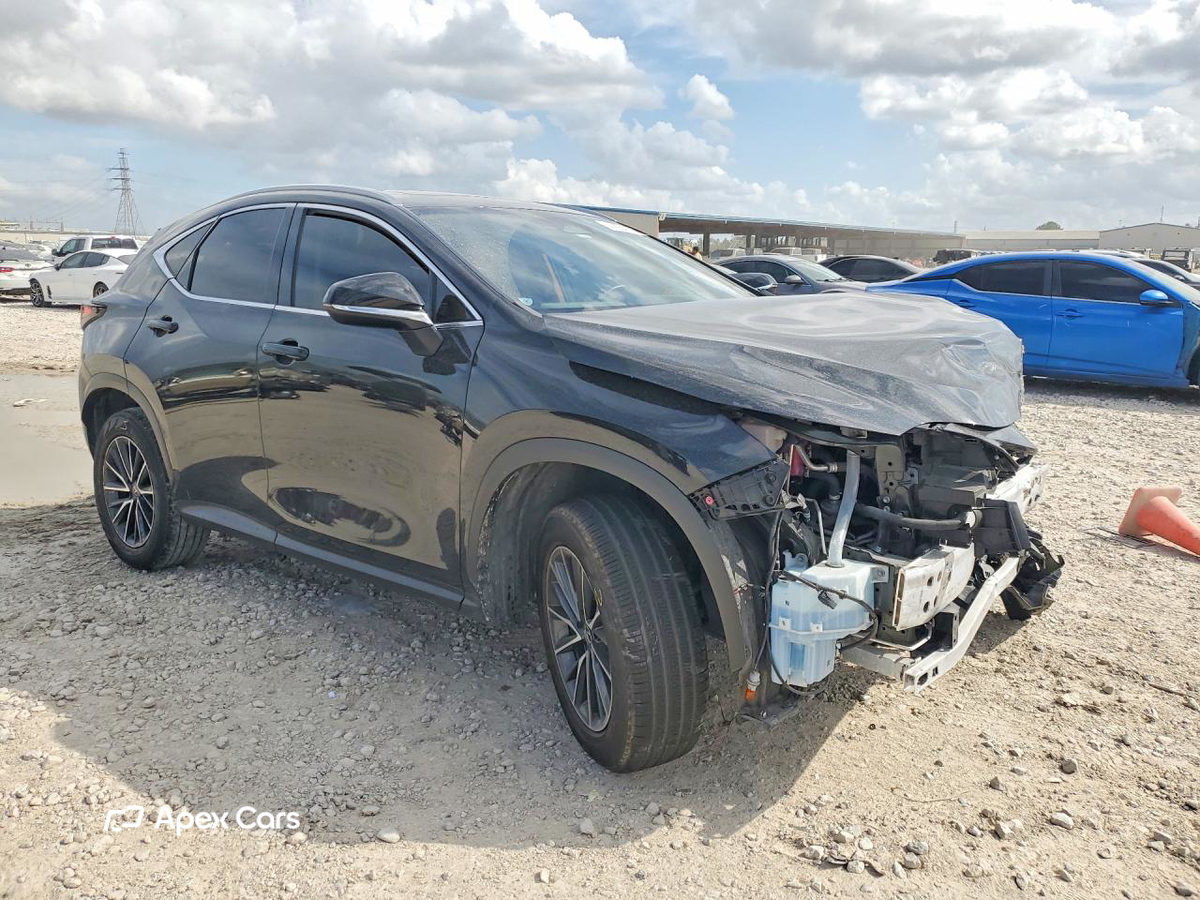 Lexus NX 2024