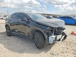 Lexus NX 2024