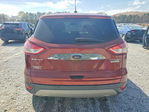 Ford Escape 2014