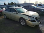 Nissan Altima 2002