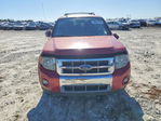 Ford Escape 2010