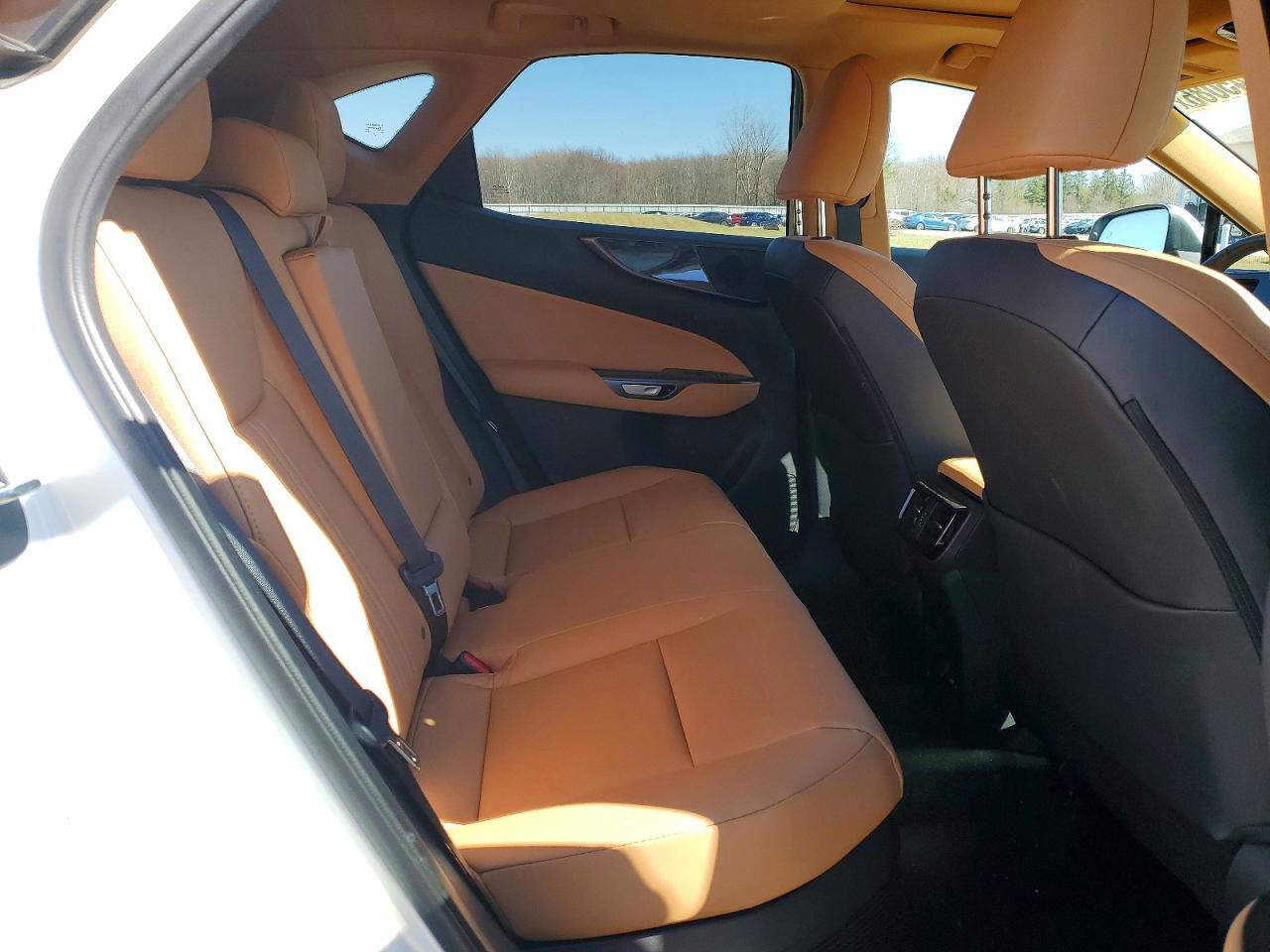 Lexus NX 2025