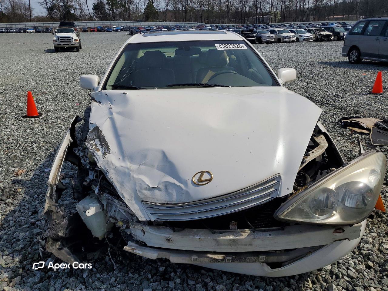 Lexus  2004