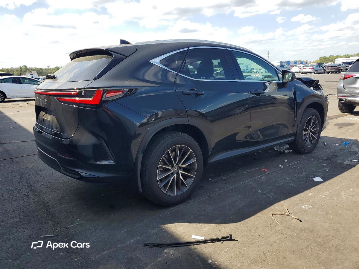 Lexus NX 2022