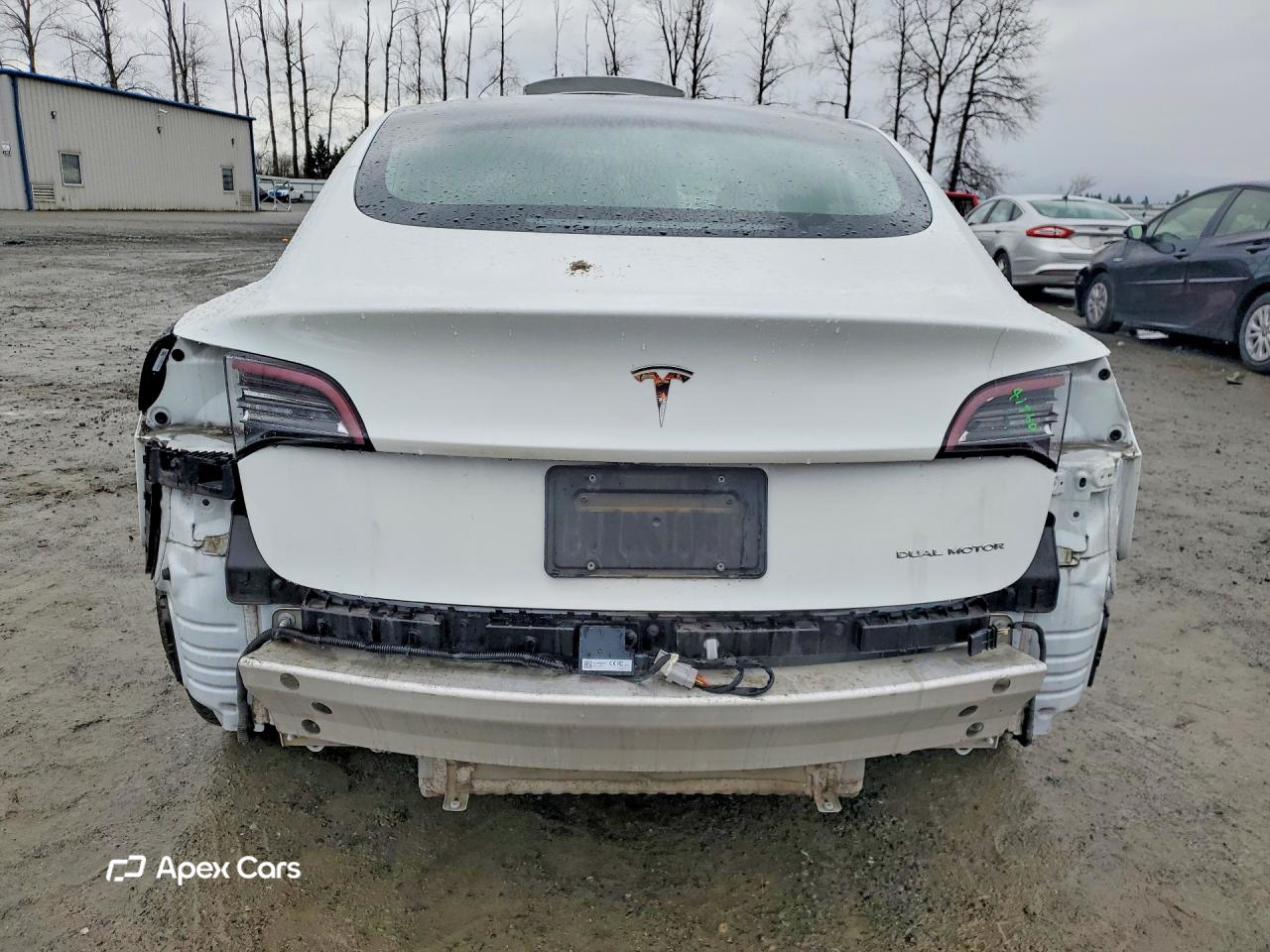 Tesla Model 3 2020