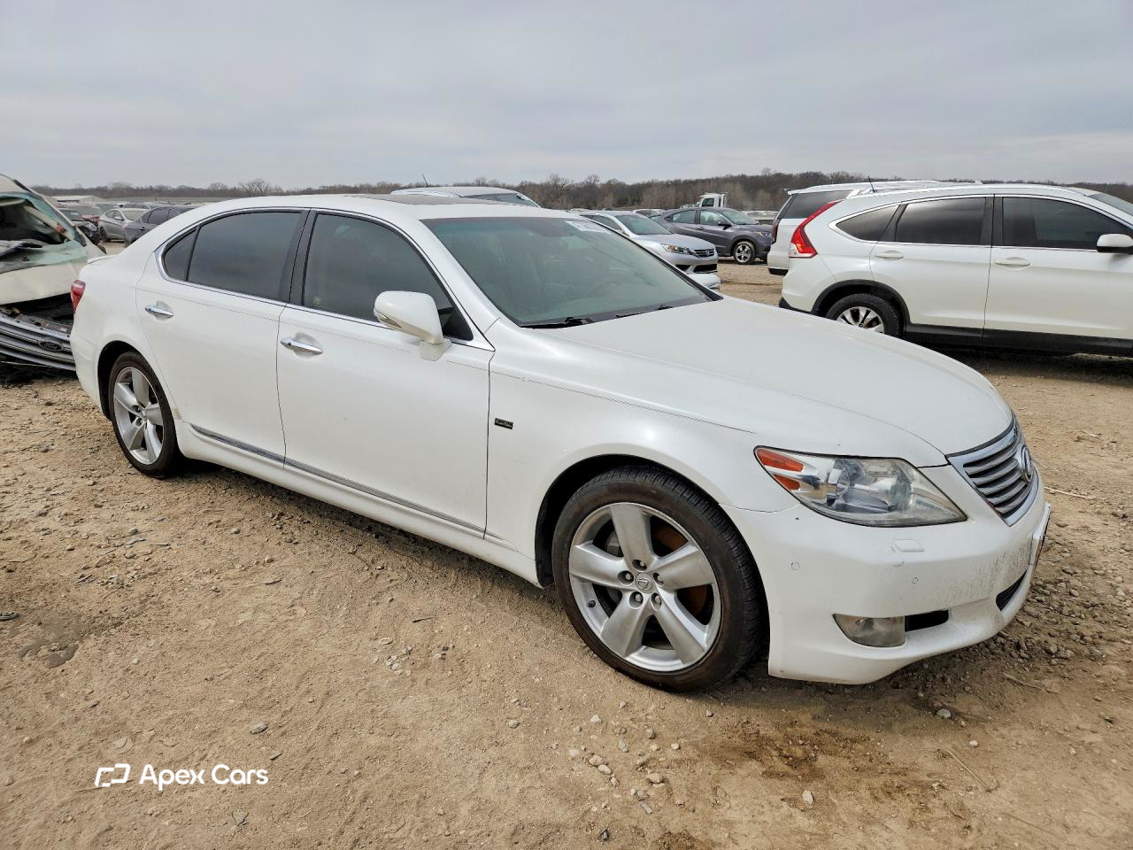 Lexus LS 2010