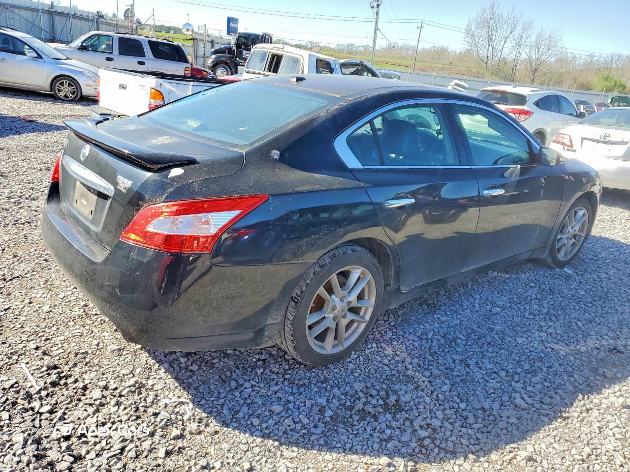 Nissan Maxima 2011