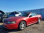 Ford Mustang 2001