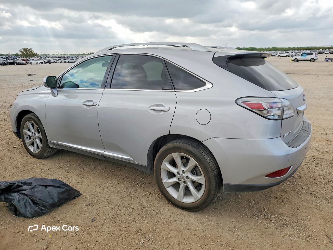 Lexus RX 2010