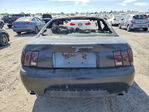 Ford Mustang 2002