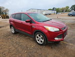 Ford Escape 2014